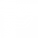 Fast-Track-Sales-Strategy-&-Coaching-Icon